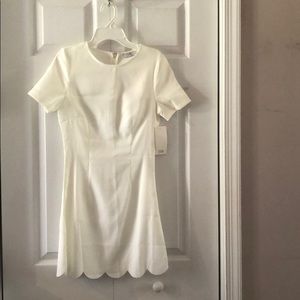 Tobi Scallop hem dress